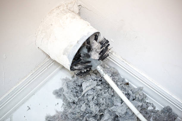 Air Duct Mold Removal in Midway North, TX